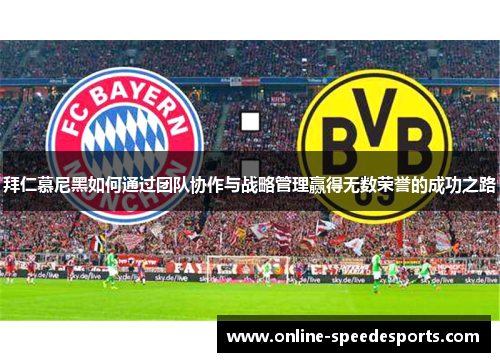 拜仁慕尼黑如何通过团队协作与战略管理赢得无数荣誉的成功之路