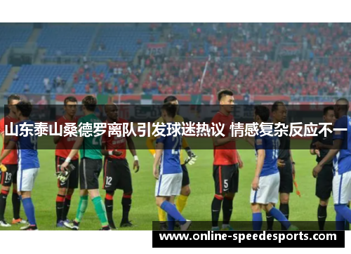 山东泰山桑德罗离队引发球迷热议 情感复杂反应不一