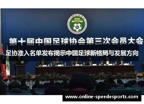 足协准入名单发布揭示中国足球新格局与发展方向
