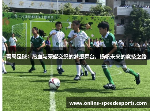 青岛足球:热血与荣耀交织的梦想舞台,扬帆未来的竞技之路 青岛足球:热血与荣耀交织的梦想舞台,扬帆未来的竞技之路