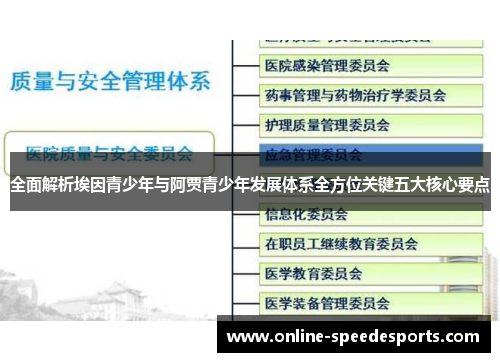 全面解析埃因青少年与阿贾青少年发展体系全方位关键五大核心要点 全面解析埃因青少年与阿贾青少年发展体系全方位关键五大核心要点